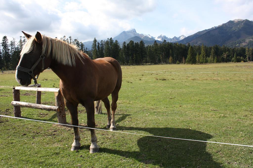 Penzion Koliba Vysoke Tatry Luaran gambar